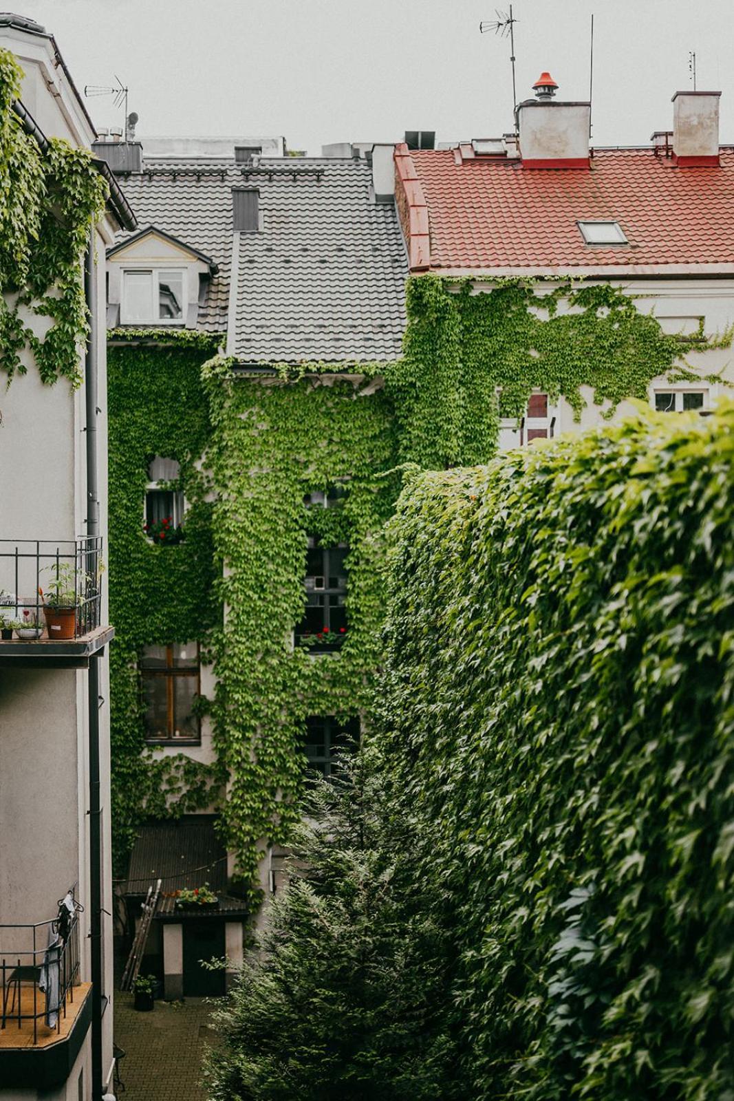 Antique Apartments Old Town 크라쿠프 외부 사진