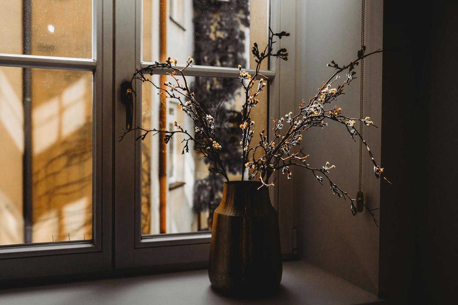 Antique Apartments Old Town 크라쿠프 외부 사진